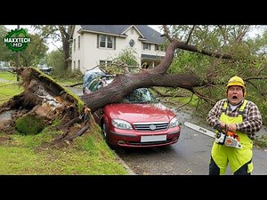 Idiots With Chainsaws: Tree Cutting Fails & Tree Falling on Houses Compilation #13