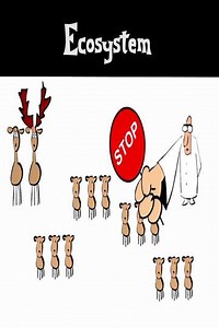 Ecosystem - Movie