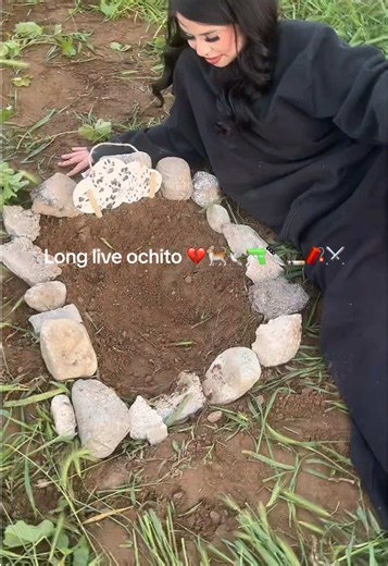 Ochito ran out and passed by a dog I miss you already man I just got you 2 actually sad tho fr my pink angel 😔 #fypシ゚viral #explorepage✨ #fyp #fyppppppppppppppppppppppp #catsoftiktok