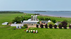 ✨ Milking Moments: The Dairy Diaries ✨ Randall Affleck of Auchinleck Farms welcomes us onto his beautiful dairy farm in Bedeque, PEI. For five generations, the family has milked Holsteins and Guernseys on the island’s waterfront fields. Randall continues the tradition of farming the land to feed the cows and carefully balances their nutrition with supplements. It's a bond built on knowledge, care, and generations of knowing exactly what their cows need. Watch the full video and get to know the p