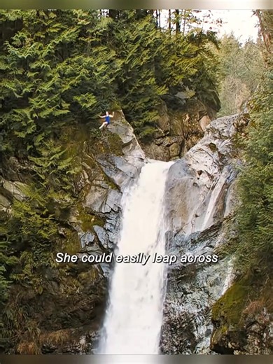 Bella: The Strongest Vampire Unleashed