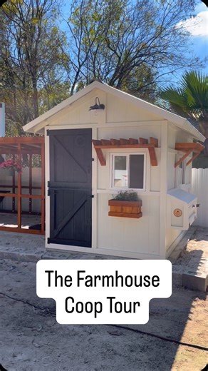Full coop tour of our latest project! #chickencoop #backyardchickens #homestead #farmhouse #southflorida | Chick Inn Coops