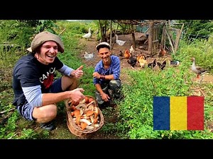 LIVING OFF-GRID in Romanian countryside 🇷🇴