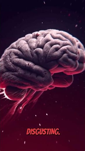 Identical Facts, Polar Opposite Reactions (The Framing Effect Exposed)