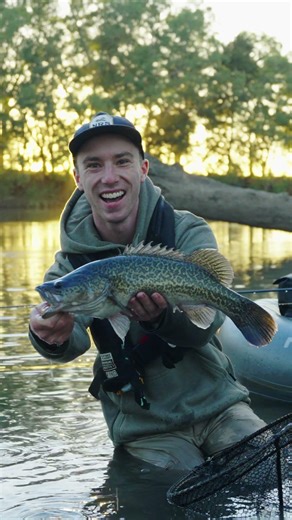 Murray Cod on Fly! #flyfishingaustralia #murraycod
