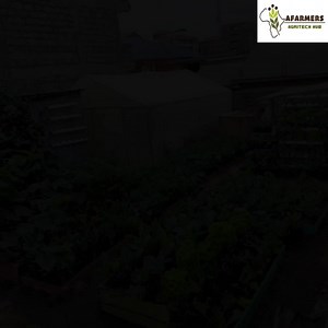 Urban agriculture is a rapidly growing trend that allows city...