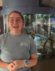 Today, learn about our Mangrove Exhibits with Claire! #shellmuseum #sanibel #magroves | Bailey-Matthews National Shell Museum & Aquarium