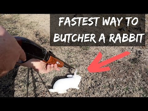 YOU NEVER SEEN THIS BEFORE Butchering Rabbits, Fastest Way To Process A Rabbit