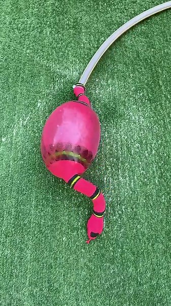 Red Snake Flooded My Garden With A Loud Pop