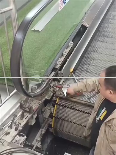 Video của ideas_fox (@ideas_fox) với bản nhạc The Human's Lap Is My Throne - Puma The Weirdo