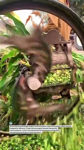 High-Speed Forage Chopper in Action 🚜🌿 #FarmingTech #AgriTools #TractorPower