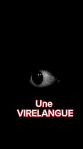 une virelangue #apprendrelefrancais