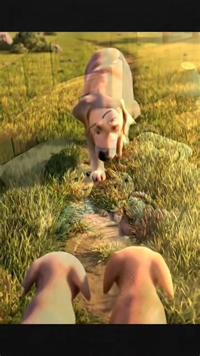 The Way Humans Love Dogs Will Melt Your Heart 🐶❤️ | Pure Human Kindness Humans Loving Dogs ❤️🐾