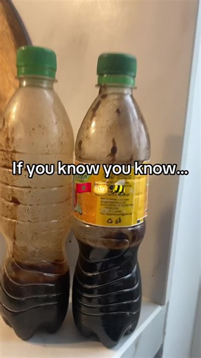 Understanding Moroccan Culture Through Every Day Norms