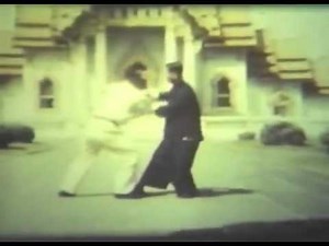 Tung Hu Ling Push Hands