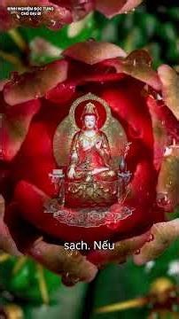 Tứ Minh Tôn Giả Khai Thị Cách Thanh Tịnh Thân Tâm Trước Khi Tụng Chú Đại Bi