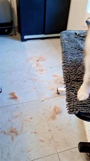 🧨 🫧hair-explosion🫧 🧨 | Shine