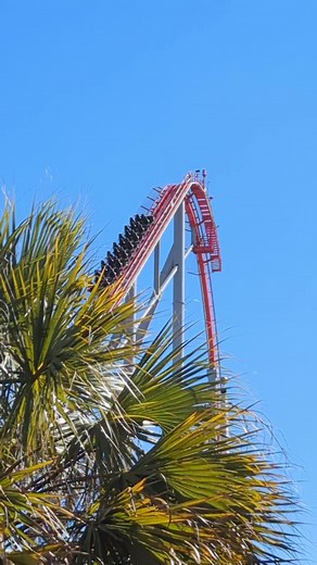 Dropping 210' on Intimidator at Carowinds | Carowinds Fans Only