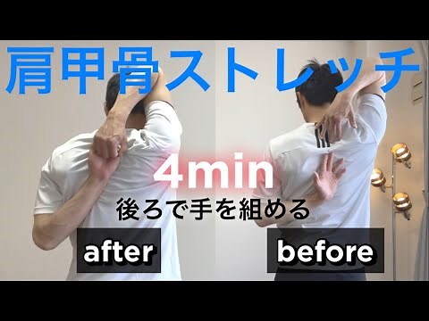 肩甲骨の可動域を広げるトレーニング初級編！肩を柔らかくするスワイショウと脱力ストレッチ！動ける体づくり！