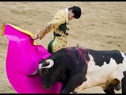 Spanish matador gored to death