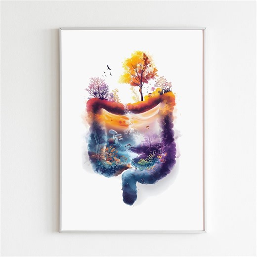 Human Digestive System Art, Anatomy Watercolor Illustration, Medical Office Decor, Anatomical Colon Drawing, Bowel Healing Poster, Aquarelle - Etsy