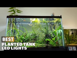 Top 10 Best Led Aquarium Lighting for Plant On Amazon