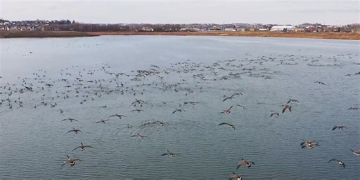 Rochester Parks & Rec. awarded for Cascade Lake Regional Park project