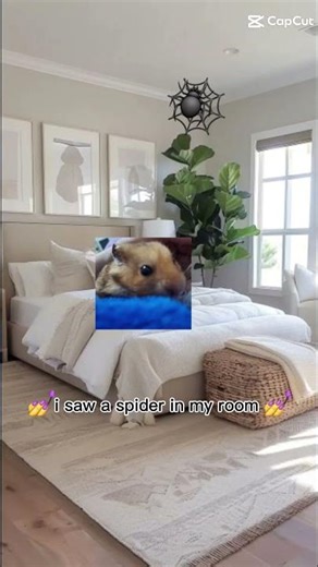 this is so true spiders are so scary