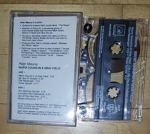 Peter Maunu - Warm Sound In A Gray Field