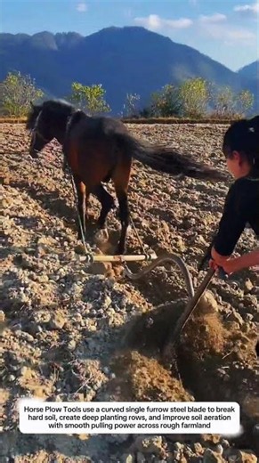Horse Plow Tools for Deep Soil Cultivation with Single Furrow Steel Blade 35cm