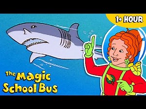 Fish and Aquatic Creatures | Full Episodes | The Magic School Bus