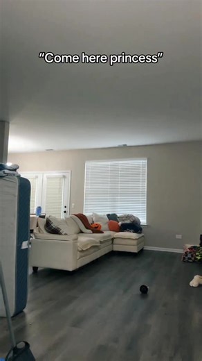 120K views · 963 reactions | She actually does call me princess • Code “LATMAN” @youngla @ghostlifestyle @helimixco @bxactiv @htltsupps #latman #wings #vibes #wife | Jake Leonard | Facebook