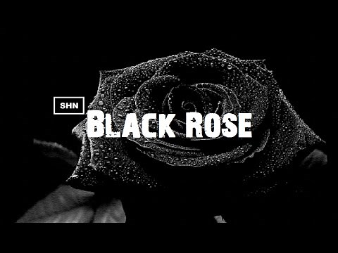 Black Rose Full HD 1080p Longplay Walkthrough Gameplay No Commentary