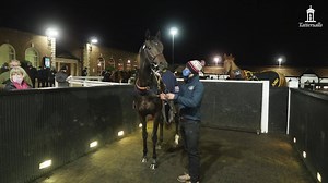 7K views · 139 reactions | The third session of the Tattersalls Autumn HIT Sale saw wildcard entry English King sell for 925,000gns, the highest price ever achieved for a colt in training at this sale. | Tattersalls | Facebook