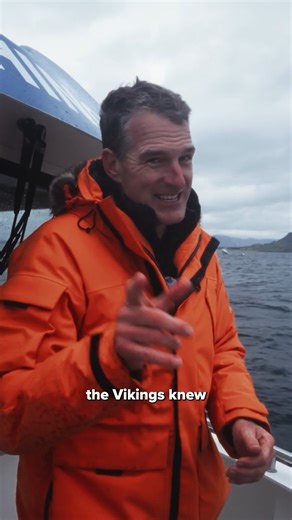 History Hit on Instagram: "The Vikings were the greatest mariners in history, but how did they do it? 🐦‍⬛ Find out more on History Hit with Dan Snow in Icelandic Vikings: Arrival. 🎥 With thanks to Visit Iceland. 🇮🇸"