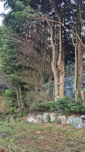 Hello 👋 Boulder Tree Works and KTM Garden and Grounds been out triming hedges. | Boulder Tree Works