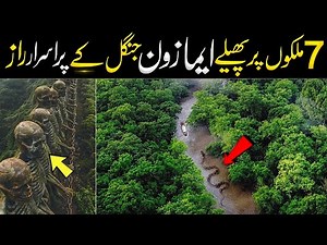Most Amazing Facts About the Amazon Rainforest