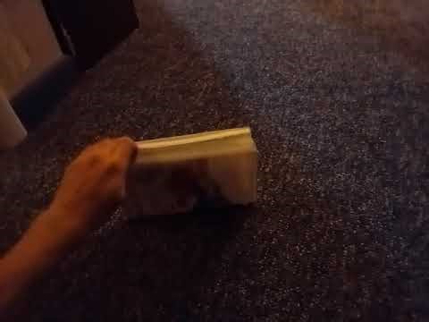 Ice Age (2002) VHS Overview