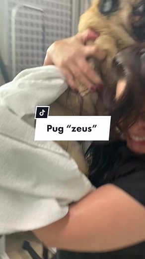 Gislene Rodrigues no TikTok