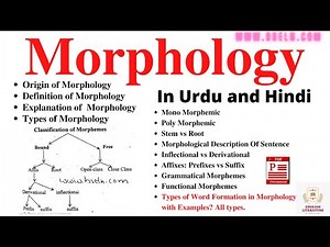 Morphology, Word Formation In Morphology, Morphological Analysis Sentence, Types Of Morpheme, PDF