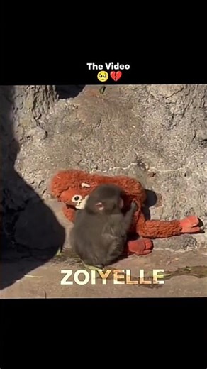 Punch #fyp #shorts #viral #viralshorts #kpop #bts