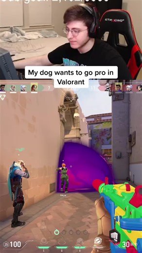 ZOMBS VALORANT Moments - Funny Dog Interruption by SEN Co-Owner