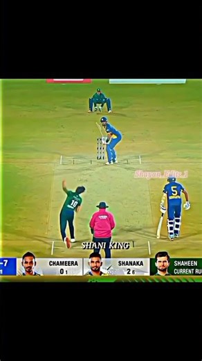 Shaheen Afridi and Fakhar Zaman coldest Moment #wickets #viewsproblem #shortsfeed #cricket#Final win