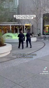 128K views · 6.1K reactions | Leftist got caught vandaIizing a Tesla in San Jose Ca. Good job! Lock these people up!  | Real Lexit | Facebook