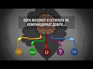 MULTI-SENSORY INTEGRATION