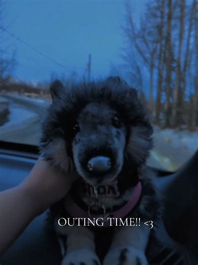 GOING ON A OUTING! #fyp #essacommunity #esa #essa #duets