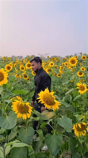 Mk Tangit (@mktangit)’s videos with original sound - Mk Tangit