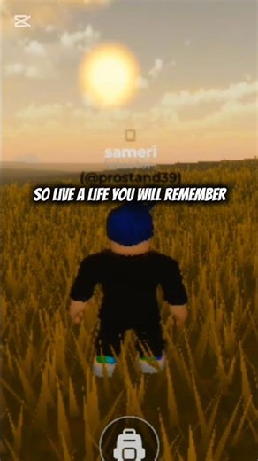 The Nights lyrics #roblox #thenight #shorts