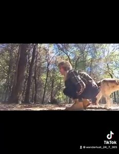 2.4M views · 10K reactions | “DANCES WITH WOLVES” Dewey’s got moves | Villalobos Rescue Center - TEXAS | Facebook