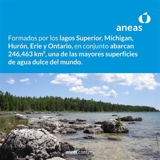  ¿Sabías que los cinco Grandes Lagos de Norteamérica (Superior, Míchigan, Hurón, Erie y Ontario) abarcan juntos más de 246 mil km² de agua dulce? Actúan como frontera natural entre Estados Unidos y Canadá y forman parte del sistema del río San Lorenzo.  Un verdadero tesoro hídrico del planeta. ✨ #ANEAS #LaRedQueSumaFluyeYConecta  #CulturaHídrica | ANEAS de México A.C. | Facebook
